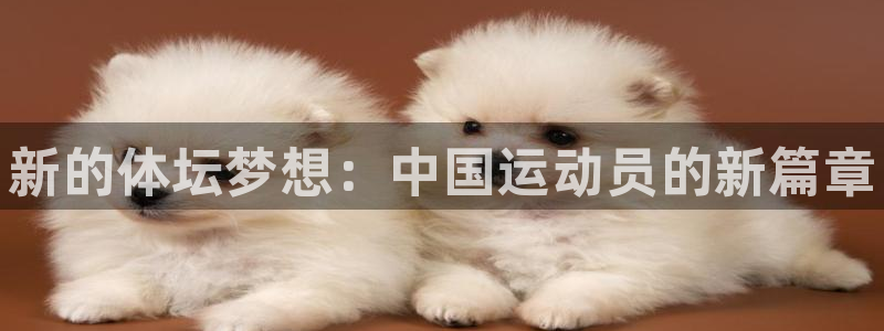 vsport体育官网下载平台注册流程图:新的体坛梦想:中国运